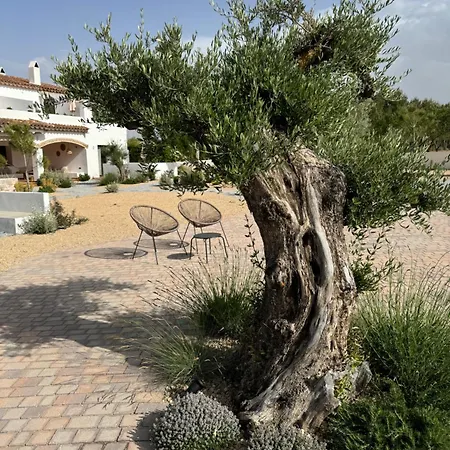 Kaukaba-apartamentos Rurales- Adults Only Pozo Alcon